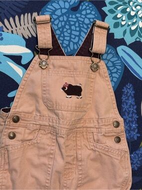 Janie And Jack Overalls
